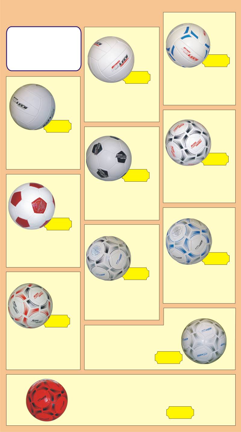 Soccer balls LECO